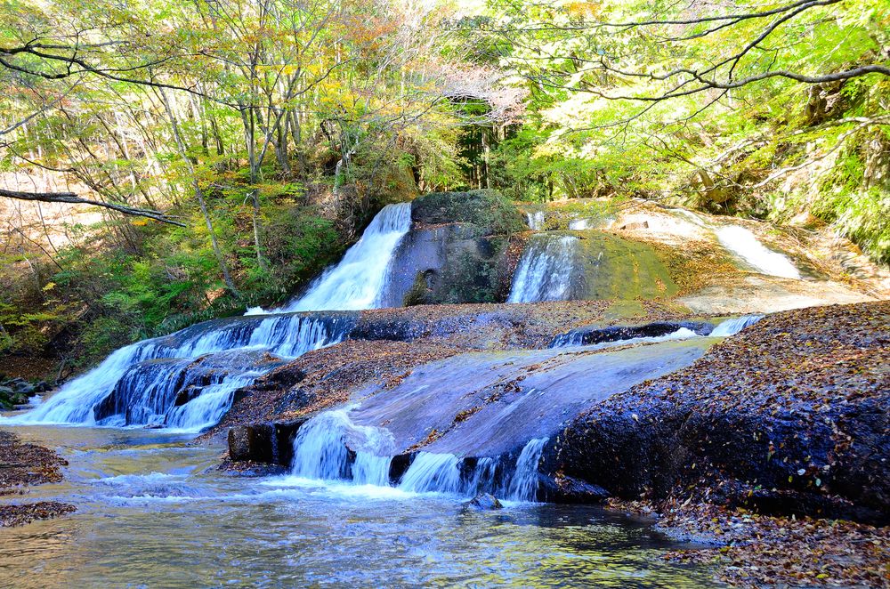 熊のすべり台の画像 - 2枚目
