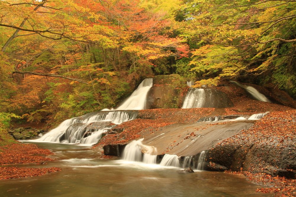 熊のすべり台の画像 - 3枚目