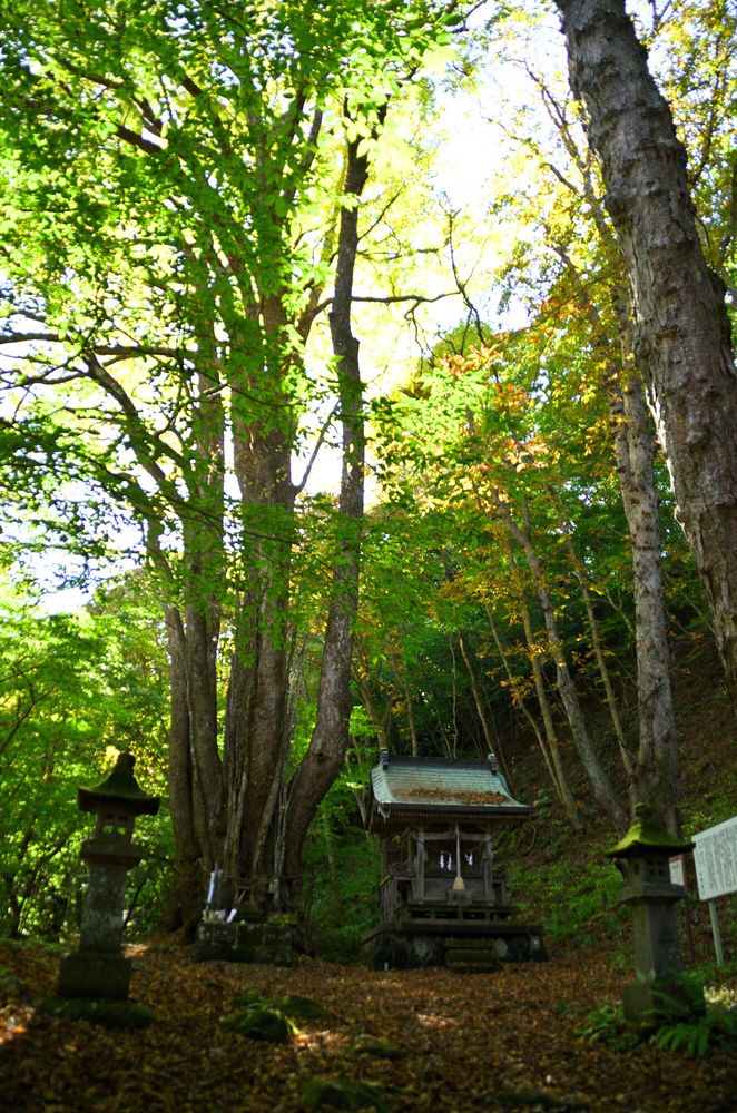 剣桂神社の画像 - 2枚目