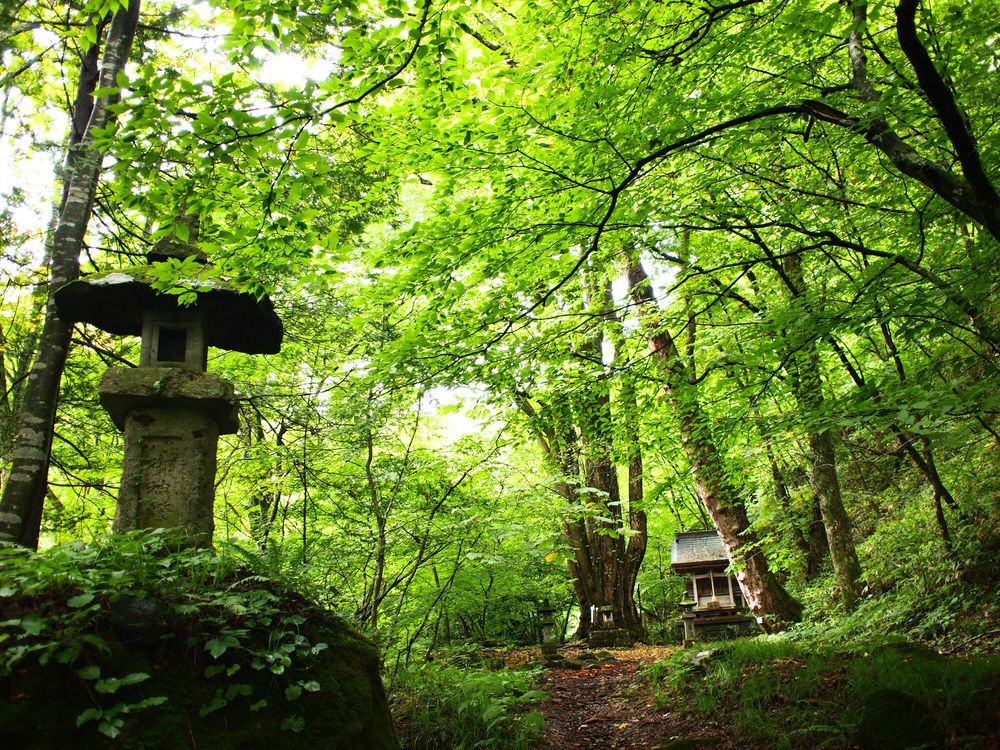 剣桂神社の画像 - 3枚目