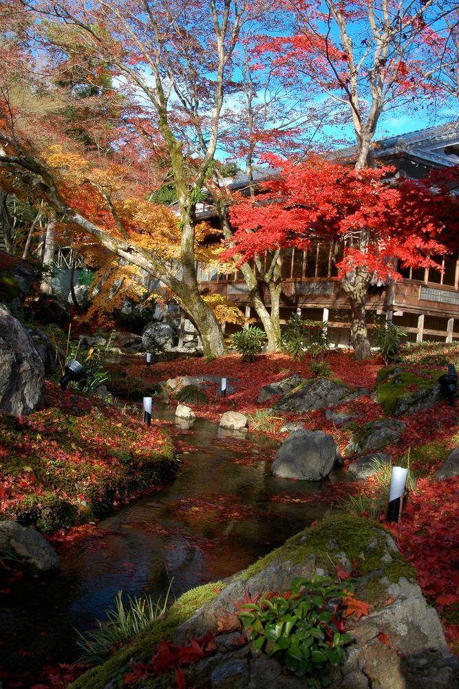 宝厳院の画像 - 4枚目
