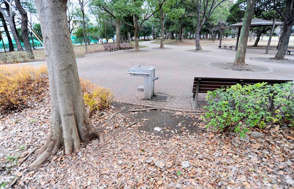 清澄公園の画像 - 3枚目