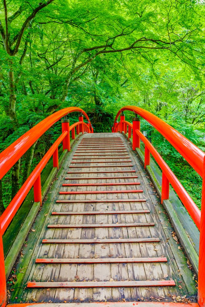 河鹿橋の画像 - 4枚目