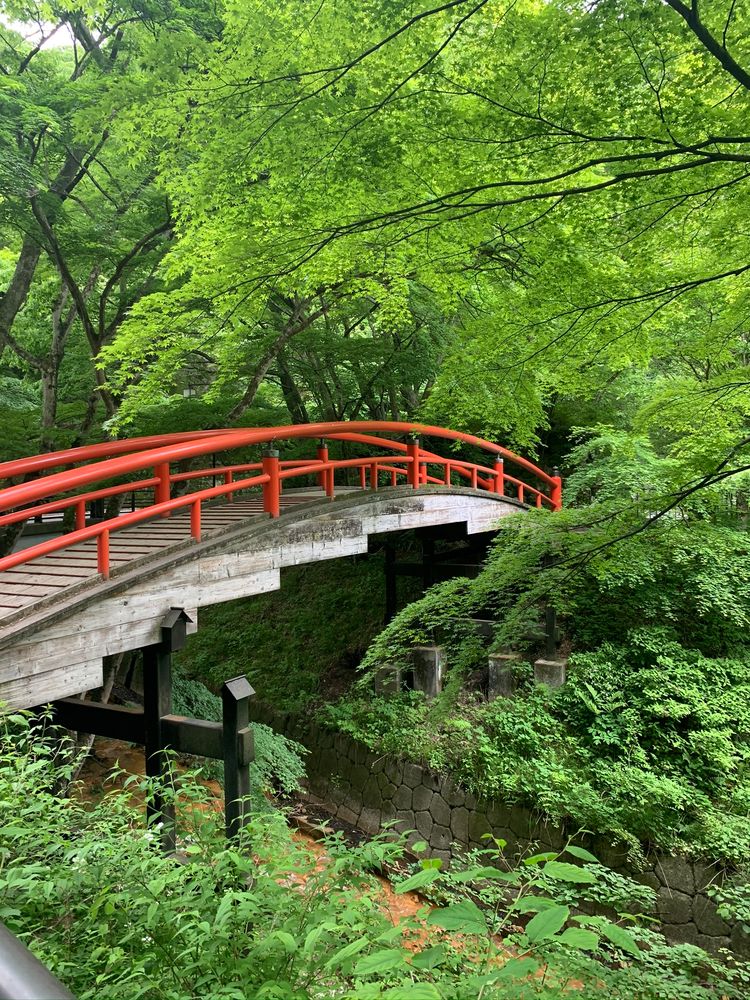 河鹿橋の画像 - 5枚目