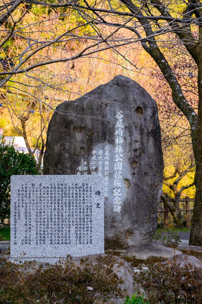 谷尾崎梅林公園の画像 - 3枚目