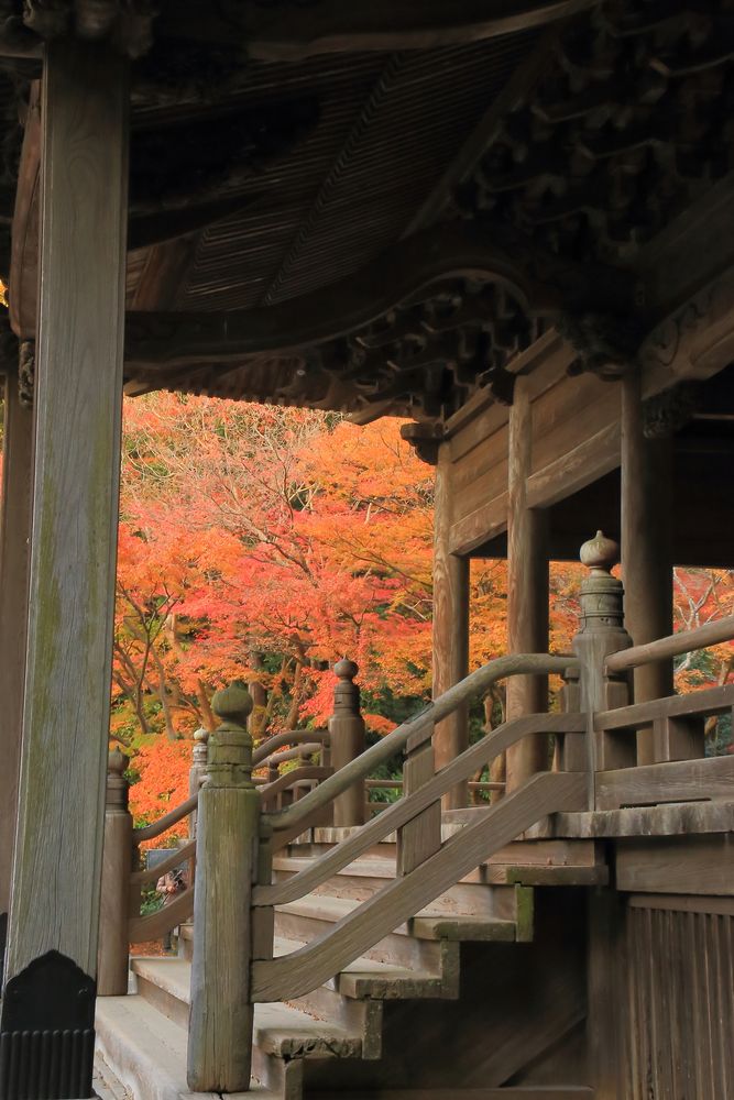 妙本寺の画像 - 4枚目