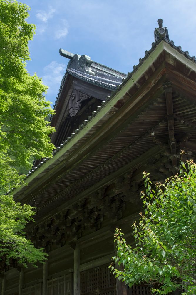 妙本寺の画像 - 5枚目