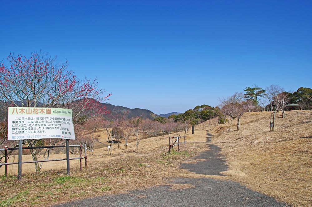 八木山花木園の画像 - 2枚目