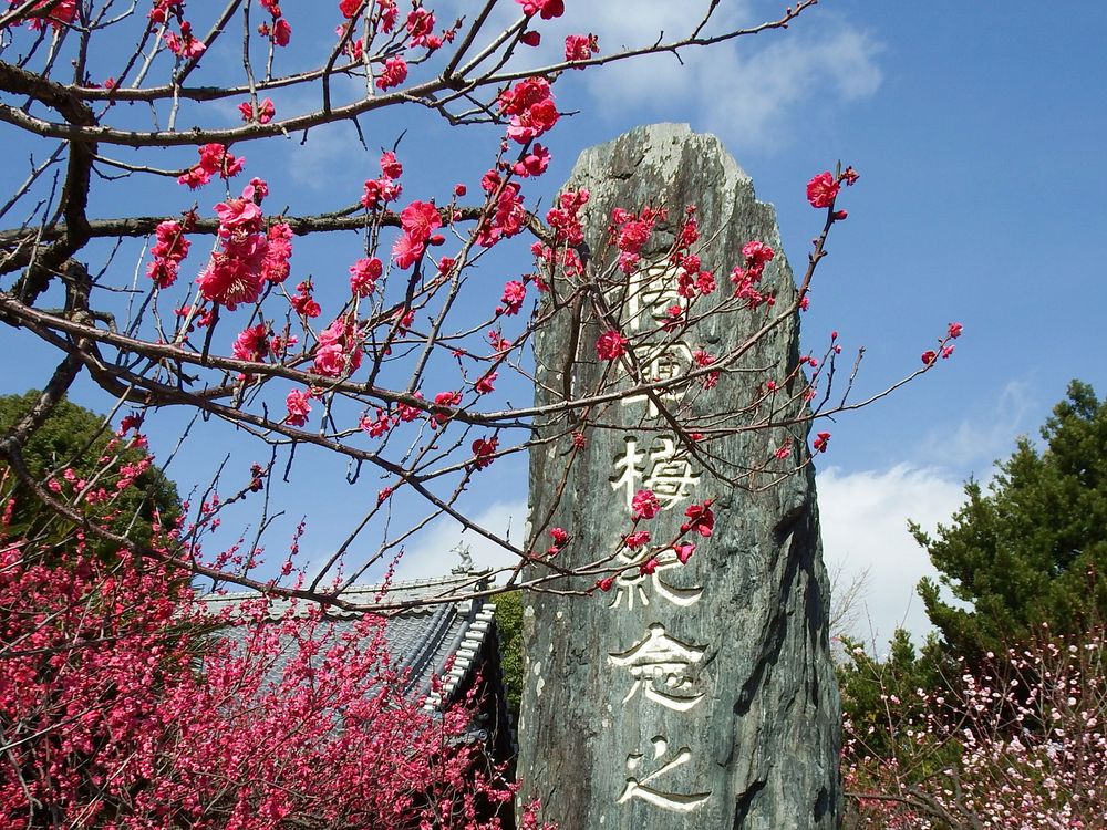 宮ノ陣神社の画像 - 2枚目