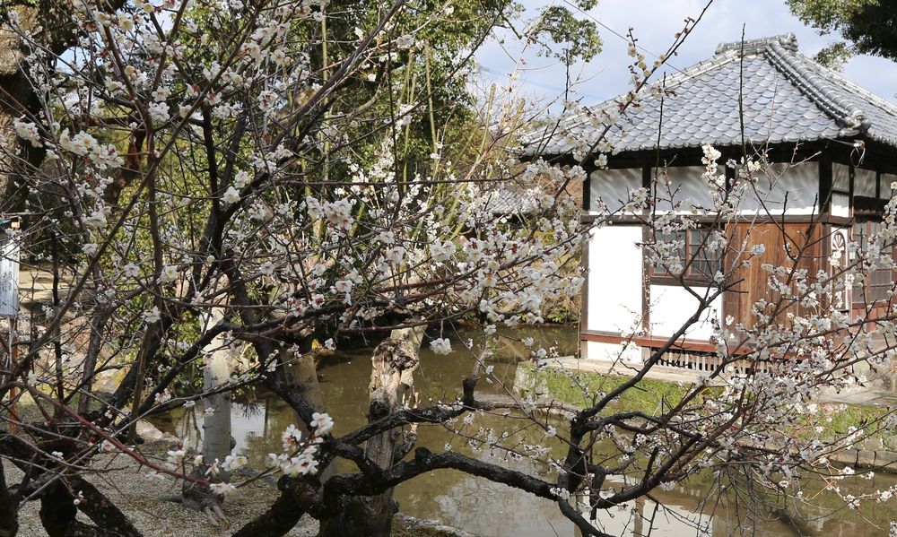 成田山 久留米分院 明王寺】の周辺スポット・アクセス・口コミ - Prism