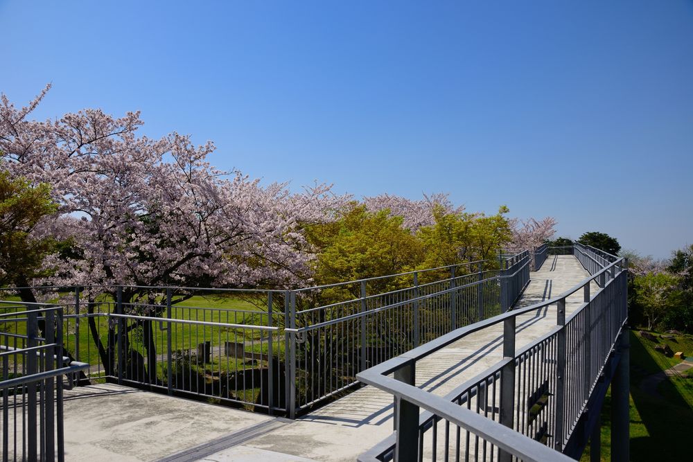 中尾山公園の画像 - 2枚目