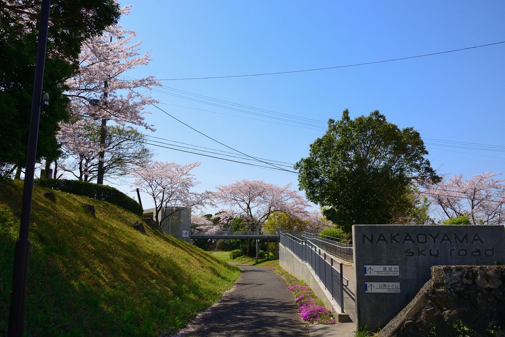 中尾山公園の画像 - 4枚目