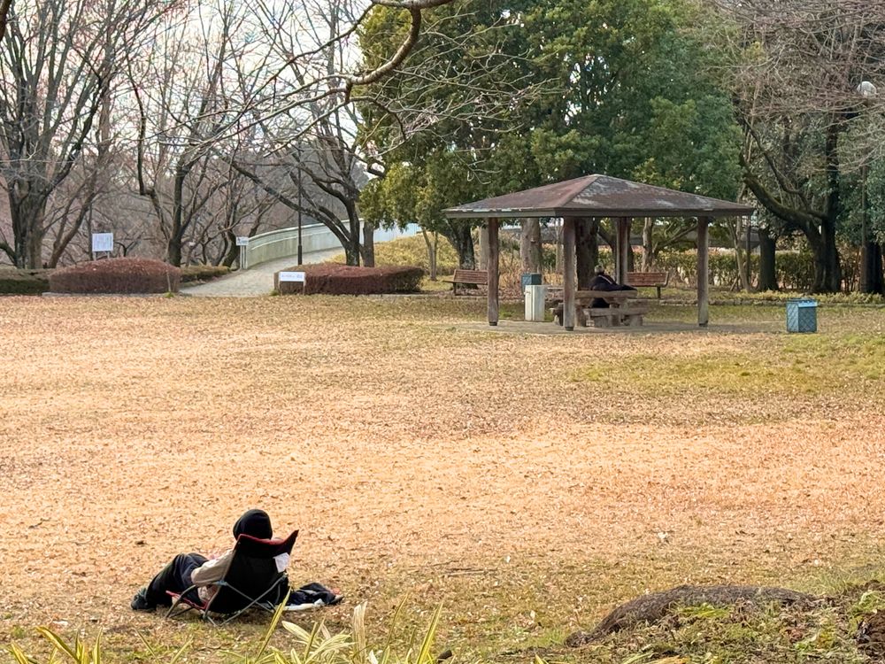 内牧公園の画像 - 4枚目