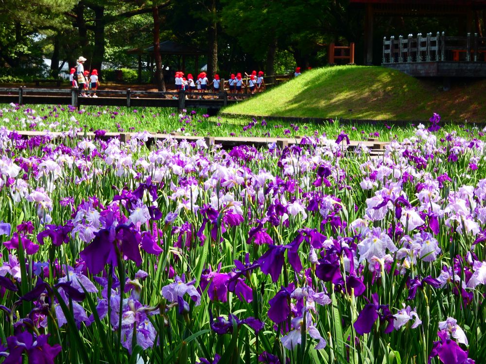 阿波岐原森林公園