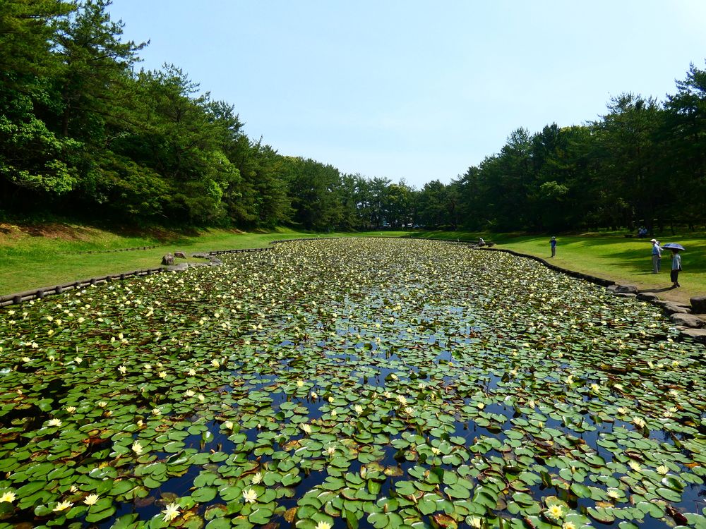 阿波岐原森林公園の画像 - 3枚目