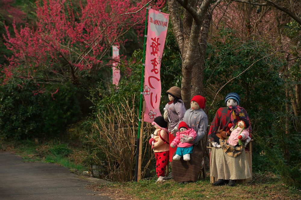 阿川梅の里の画像 - 3枚目