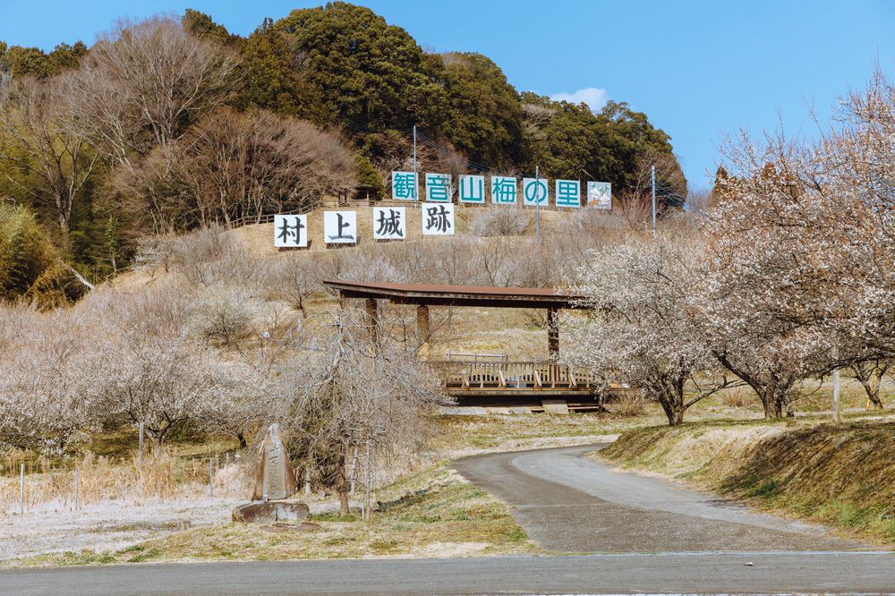 観音山梅の里梅園の画像 - 2枚目