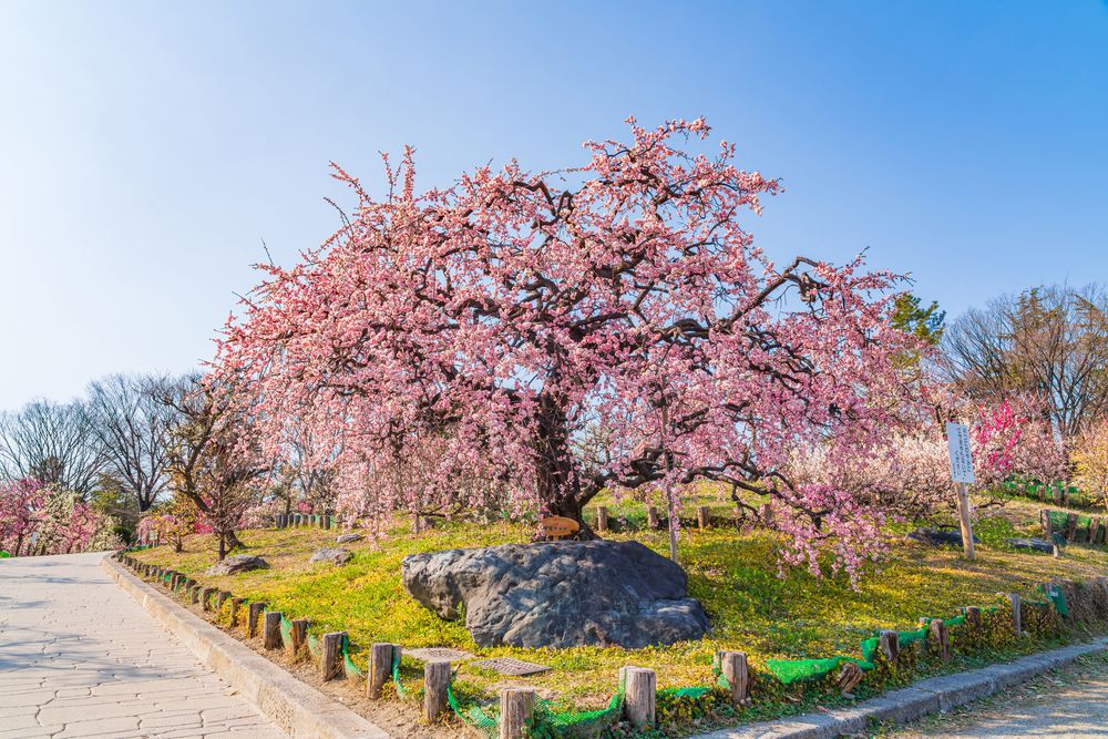 荒子公園