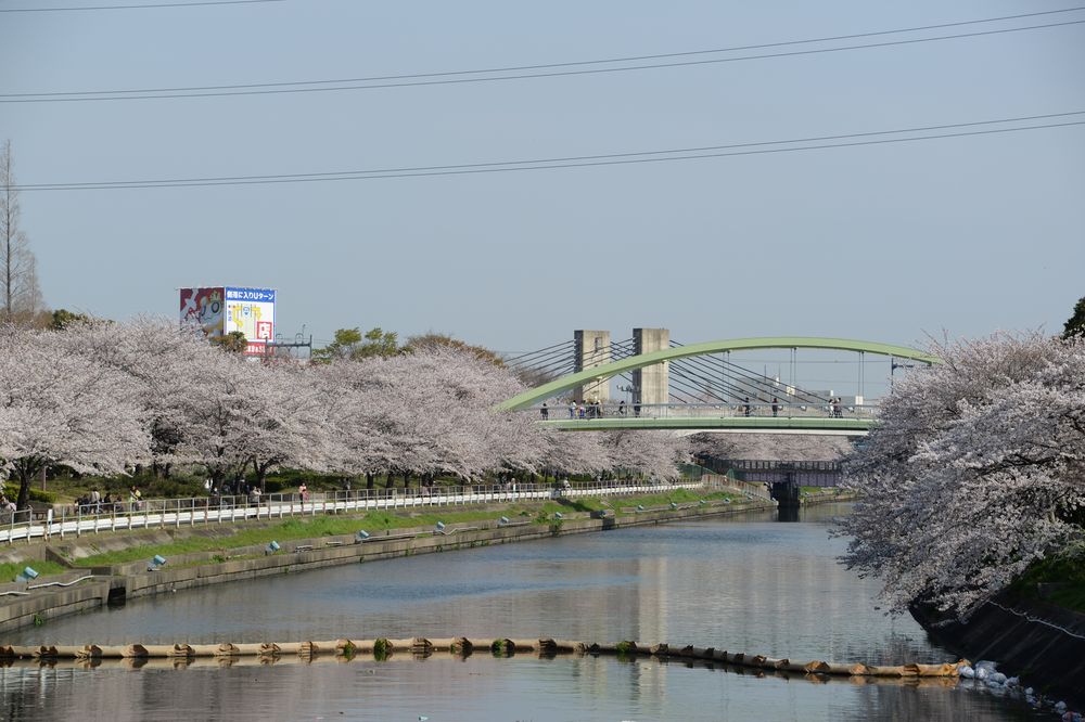 荒子公園の画像 - 6枚目