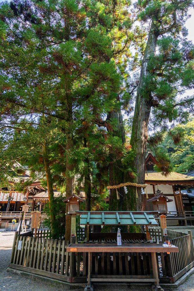 大和国一之宮 三輪明神 大神神社の画像 - 5枚目