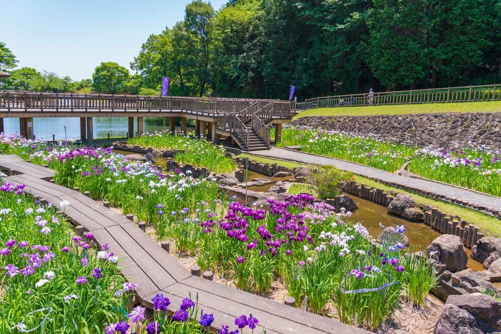 赤塚山公園