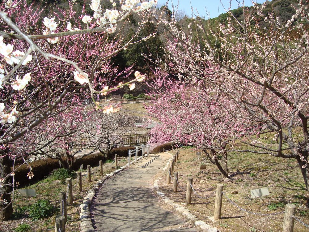 赤塚山公園の画像 - 2枚目