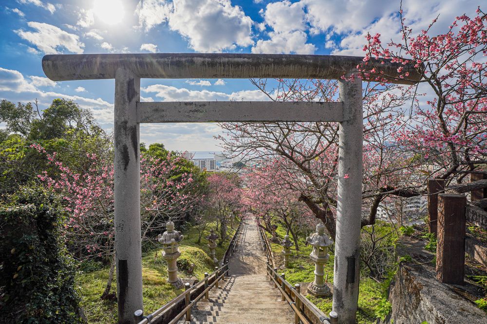 名護城公園の画像 - 2枚目
