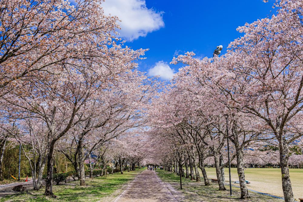 忠元公園