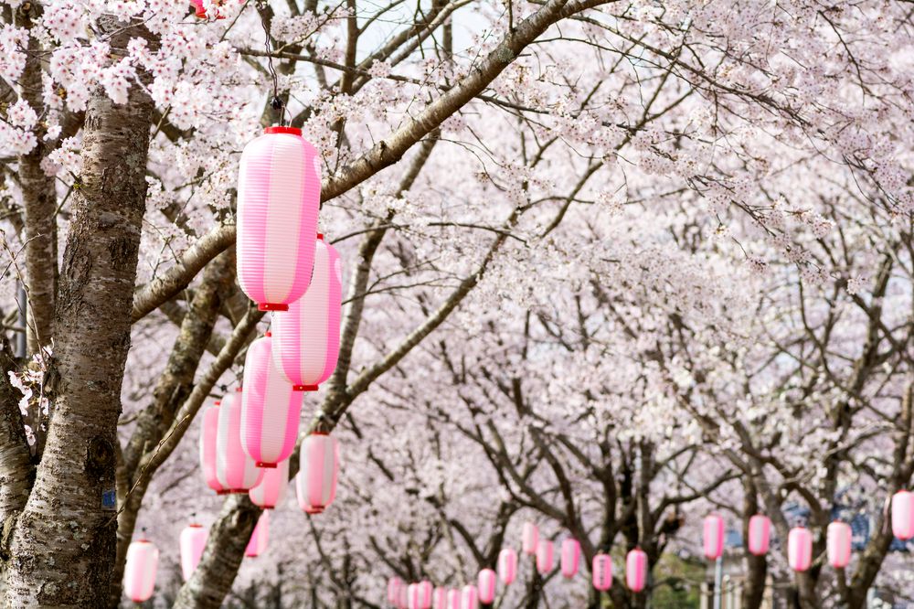 忠元公園の画像 - 3枚目