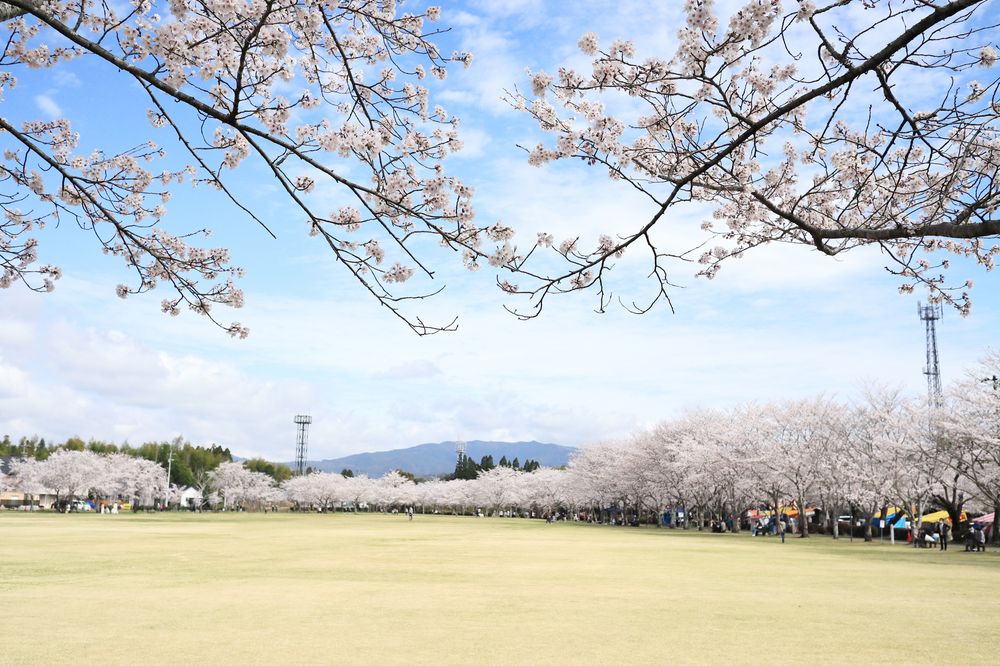 忠元公園の画像 - 4枚目