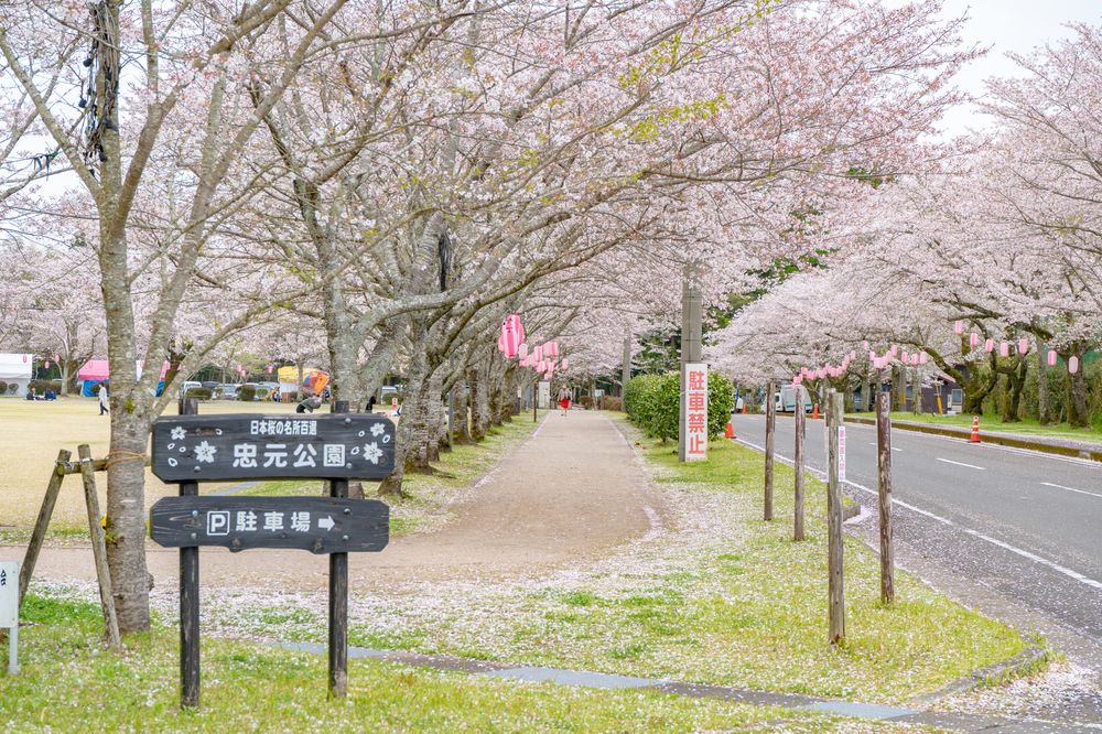 忠元公園の画像 - 5枚目