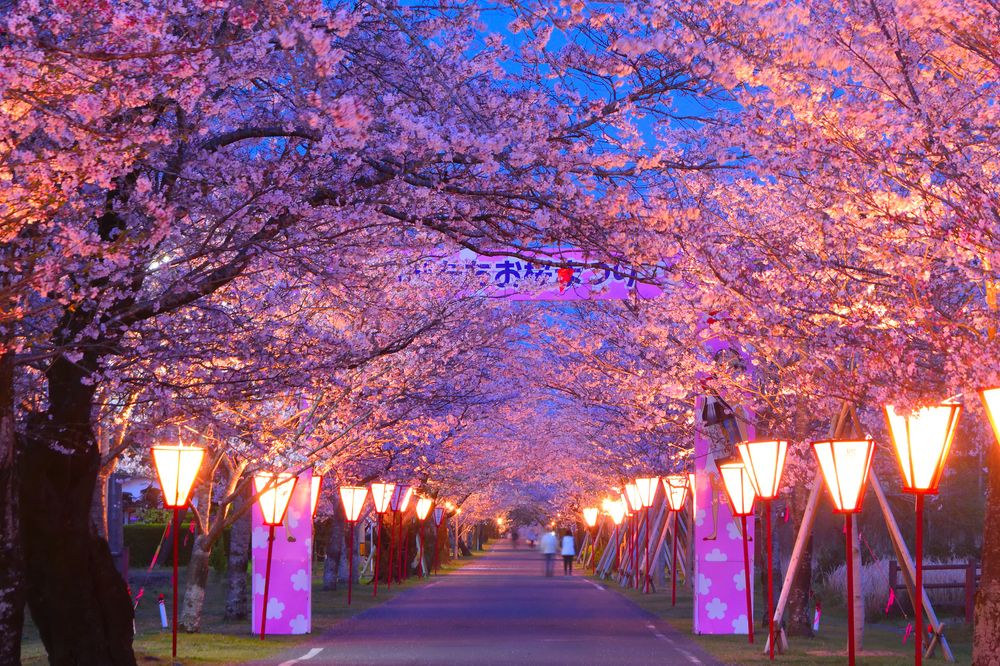 母智丘公園の画像 - 3枚目