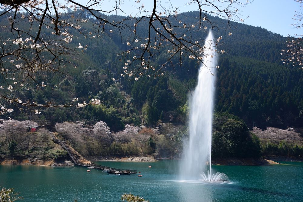 市房ダム湖畔の画像 - 2枚目