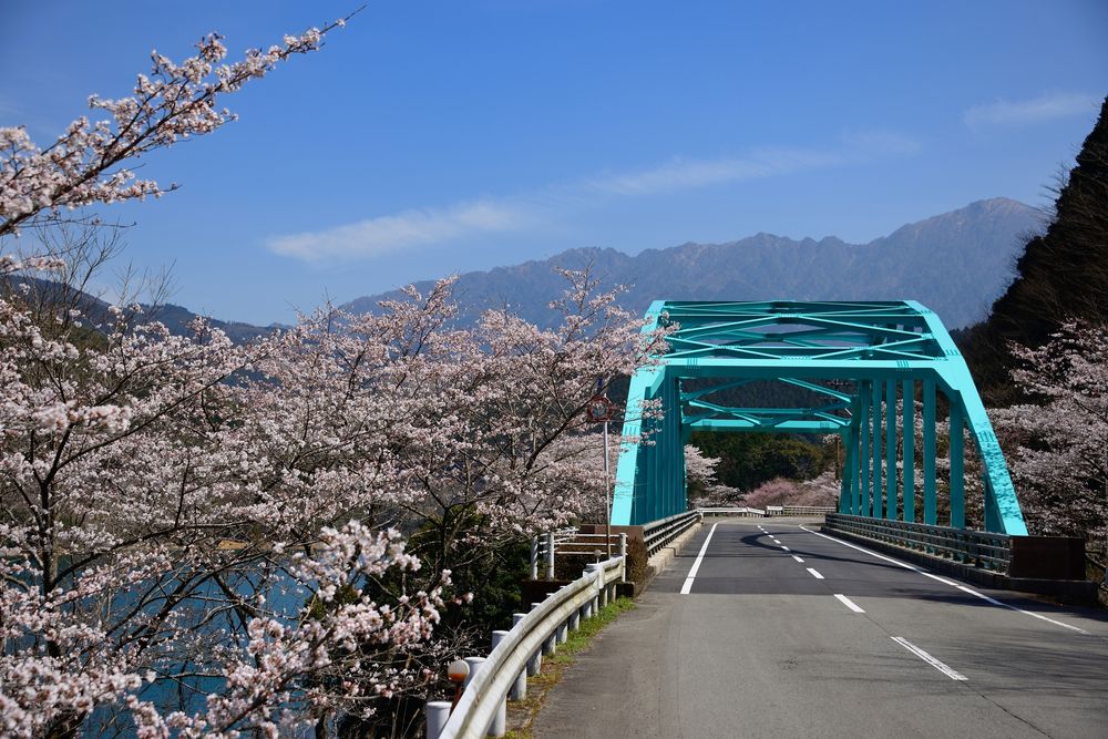 市房ダム湖畔の画像 - 3枚目