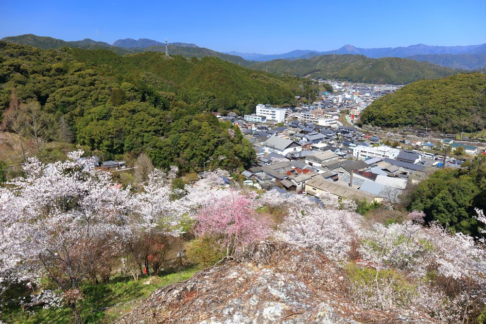 牧野公園