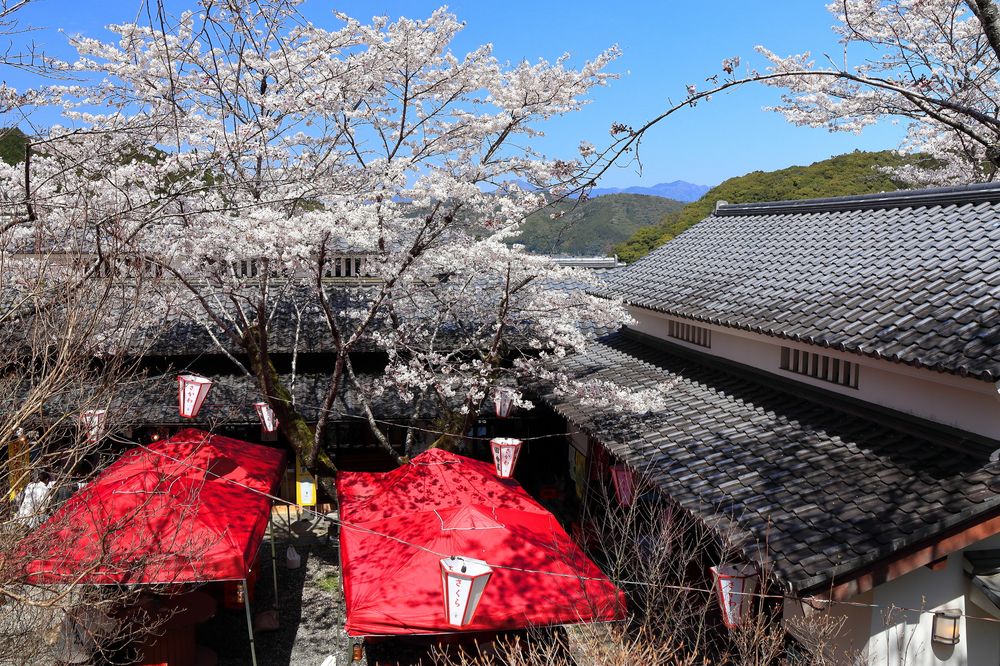 牧野公園の画像 - 2枚目