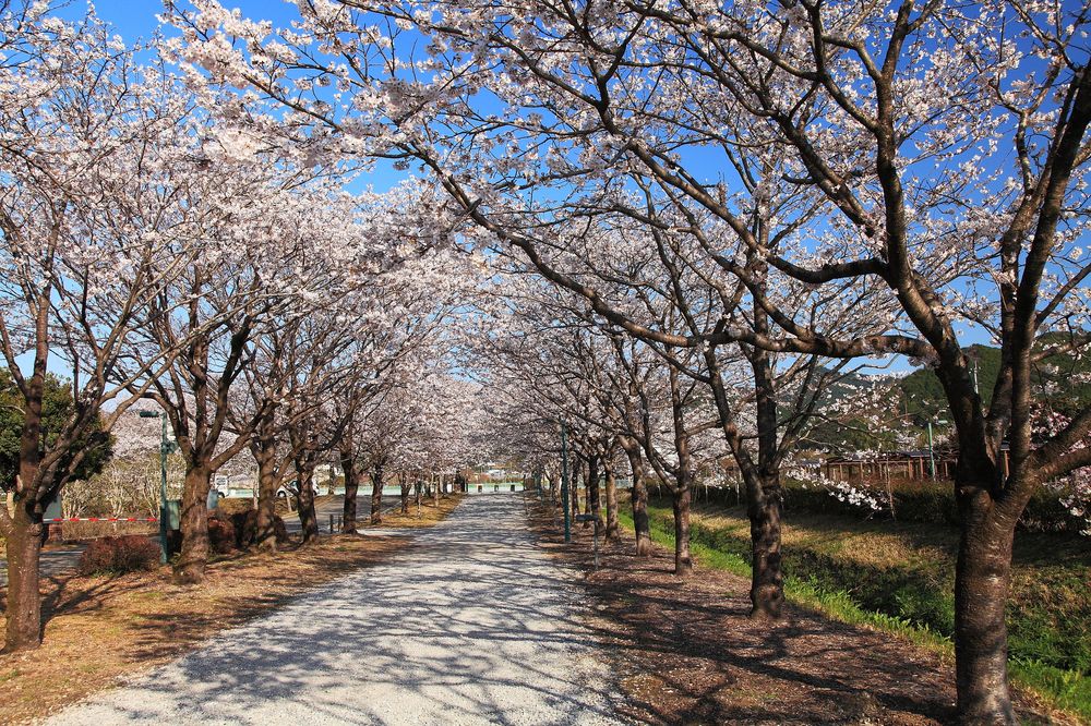 鏡野公園