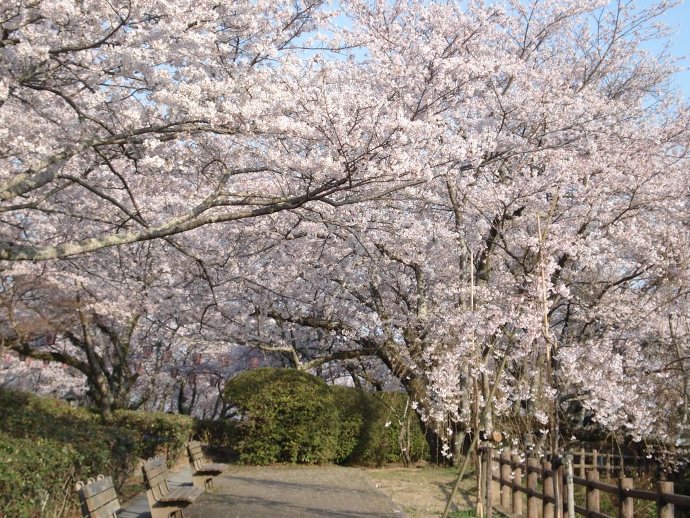 西部公園の画像 - 2枚目