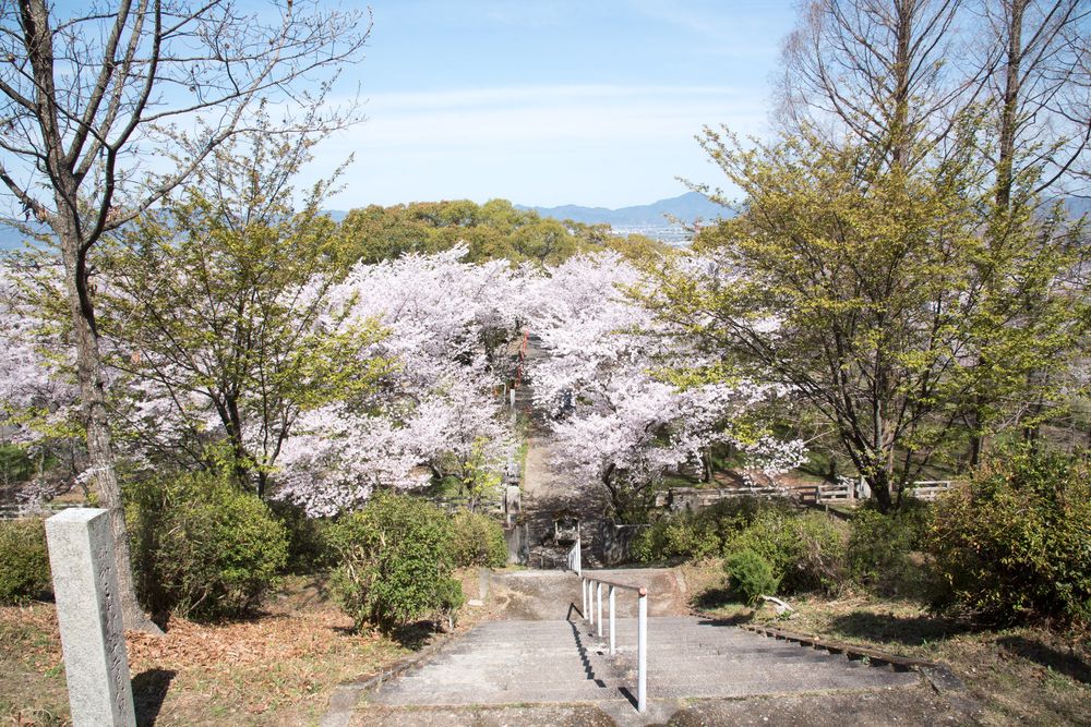 西部公園の画像 - 3枚目
