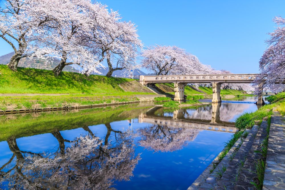 新境川堤