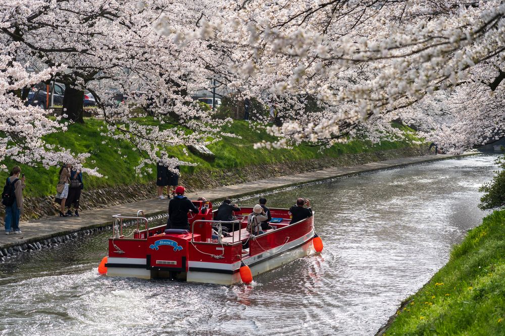 松川公園の画像 - 2枚目