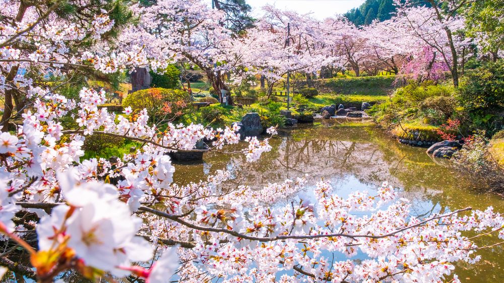 村松公園】の周辺スポット・アクセス・口コミ - Prism Japan