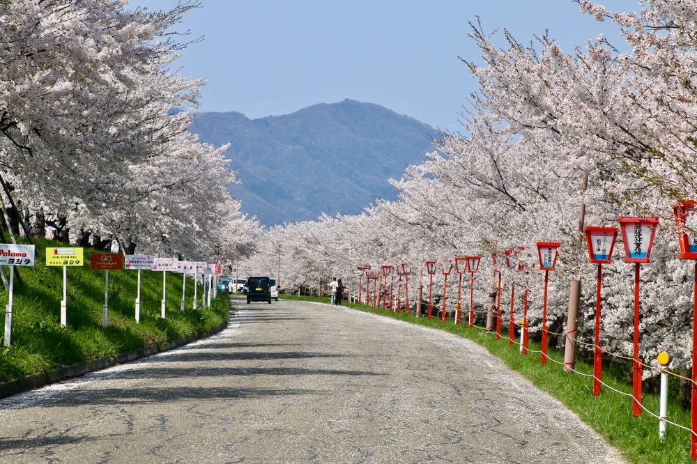 大河津分水の画像 - 3枚目