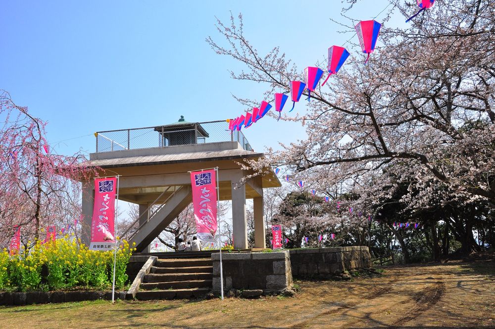 衣笠山公園の画像 - 3枚目
