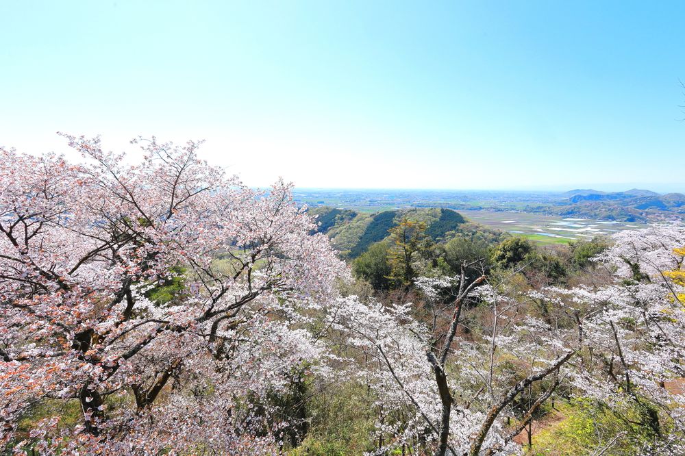 太平山県立自然公園の画像 - 3枚目