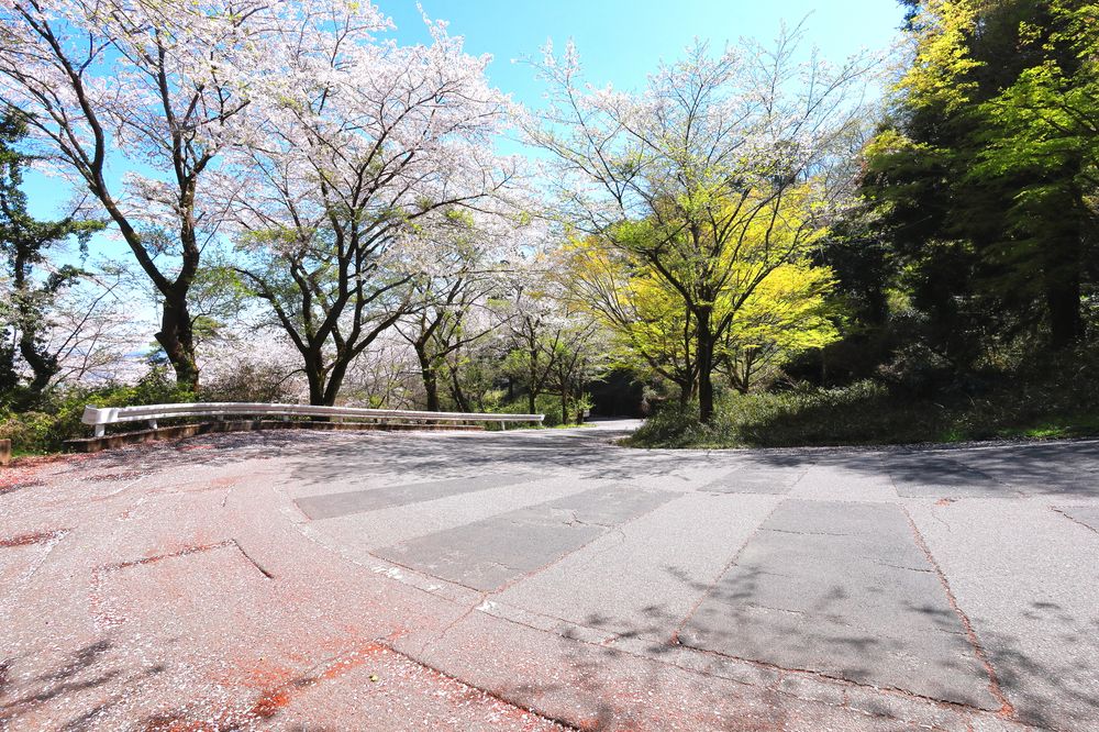 太平山県立自然公園