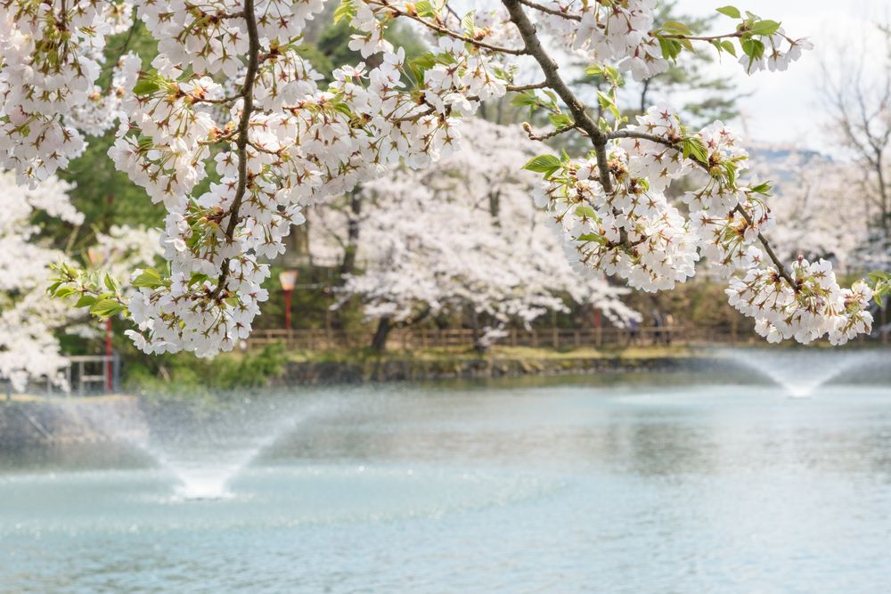 真人公園の画像 - 2枚目