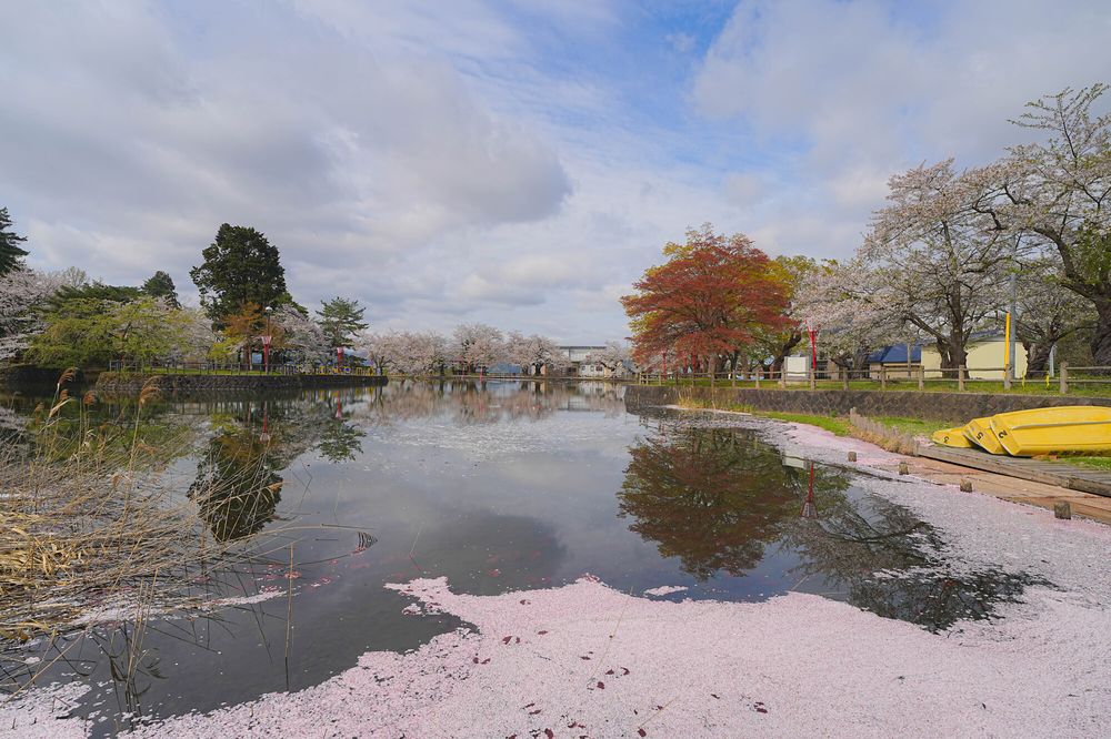 真人公園の画像 - 3枚目
