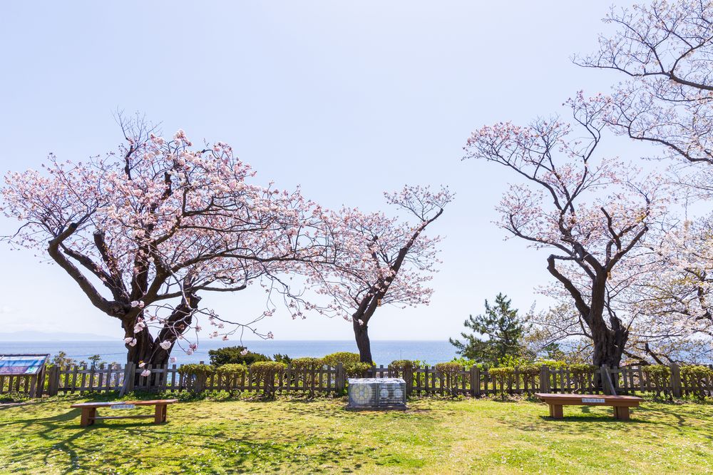 松前公園の画像 - 3枚目