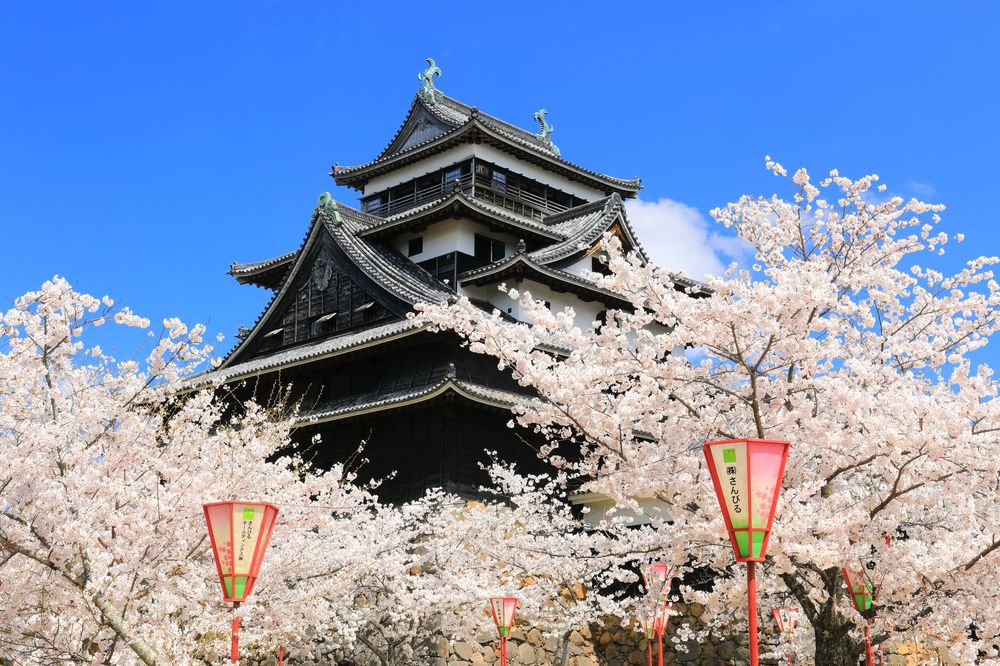 松江城山公園の画像 - 2枚目